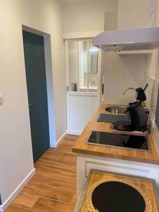 Studio Du Chateau Climatisee Carcassonne Ngoại thất bức ảnh